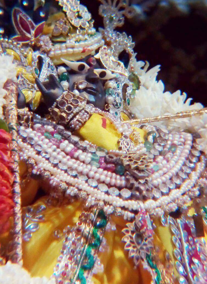 LADDU GOPAL POSHAK